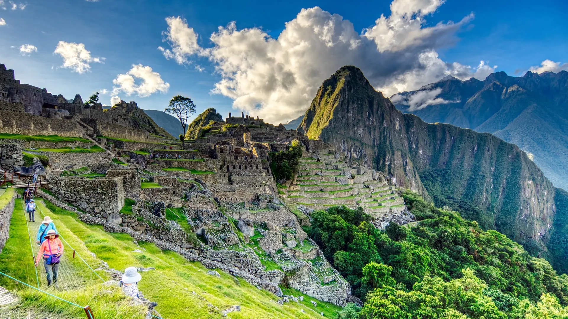 Machu Picchu Tour