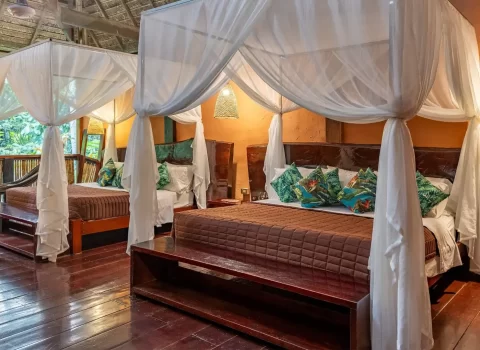 Rainforest Expedition Posada Amazonas