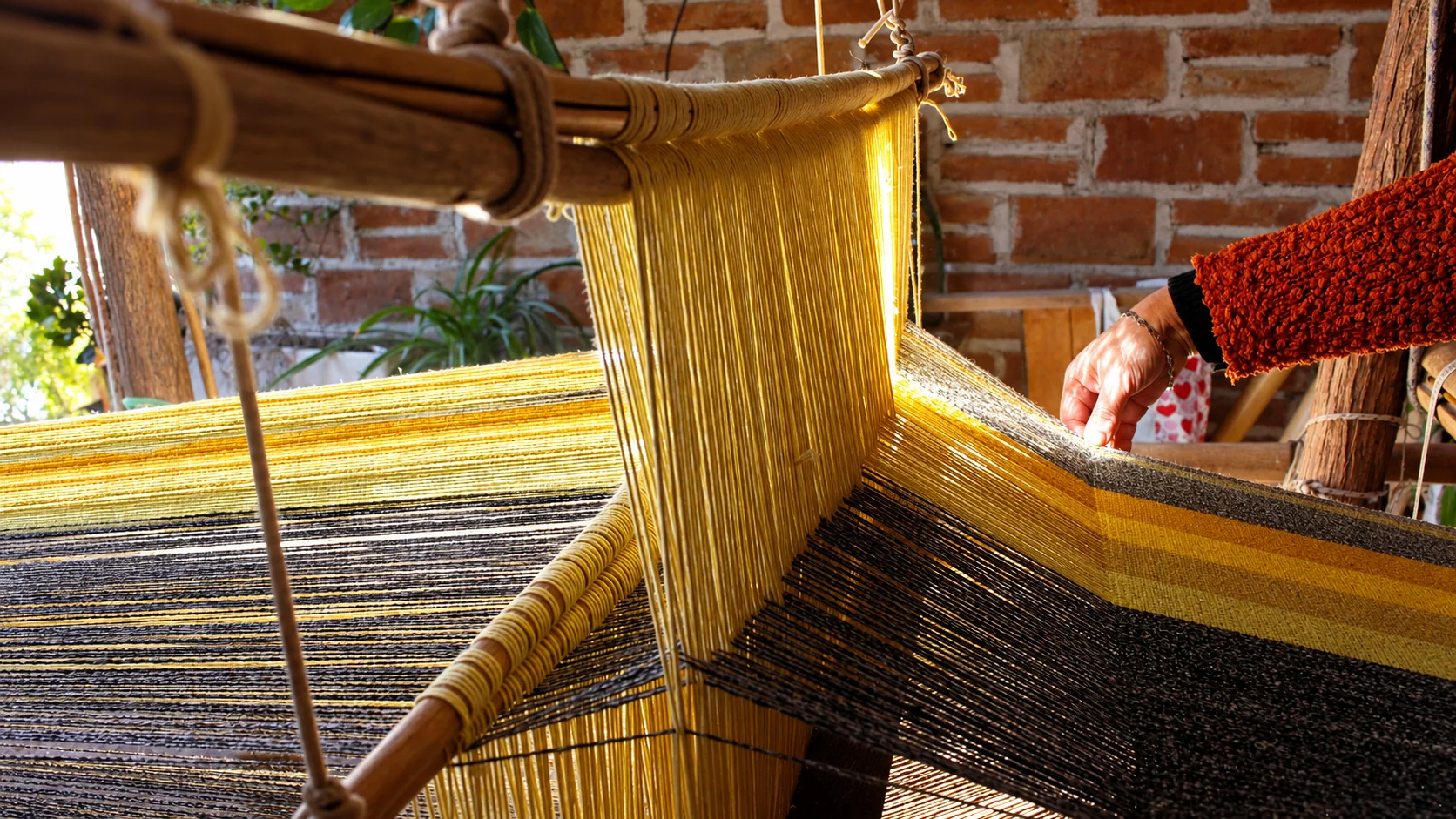 authentic vicuna baby alpaca Peru